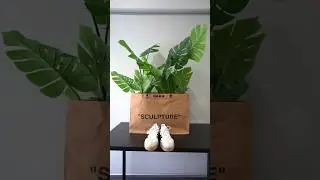 @adidas Sambae unboxing