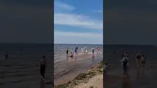 La plaja (пляж)