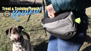 Versatile Dog Treat and Training Pouch w/ Exterior Pocket