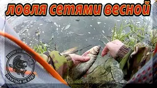 Fishing with nets in spring. This is Fishing in May with Spinning. Chub on spinning.