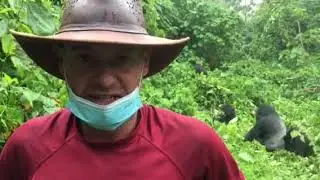 7 Summits Africa Gorilla Trekking Virunga