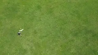 Sugar glider Flying 01