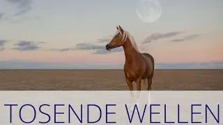 Tosende Wellen - Fotoshooting an der Nordsee