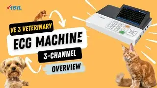 VE 3 Veterinary ECG Machine 3 channel By Hemant Surgical