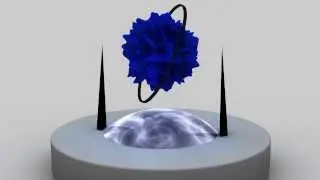 Object Transform Test Cinema 4D