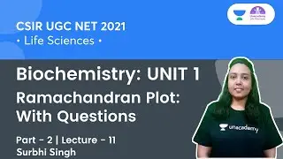 Ramachandran Plot: With Questions | Biochemistry: UNIT 1 | CSIR NET 2021 | By Surbhi Singh