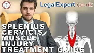 Splenius Cervicis Muscle Injury Treatment Guide ( 2019 ) UK