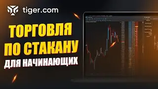 Торговля по стакану в Tiger.com: Полный гайд для начинающих