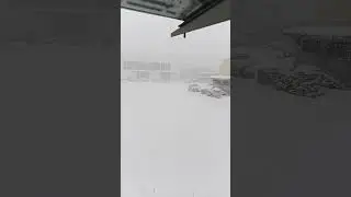 11.01.2024 снегопад