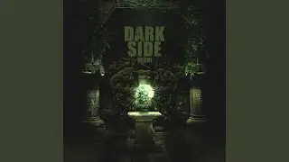 DARKSIDE