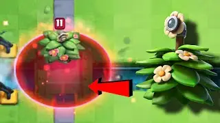 Is Suspicious Bush Anti Every Spell? 😳