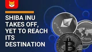 Shiba Inu takes off, yet to reach its destination at $0.0000144