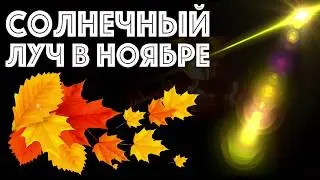СОЛНЕЧНЫЙ ЛУЧ В НОЯБРЕ | Сказка на ночь | Звук костра