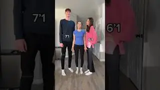How to look tall: Abby mashup 