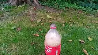 Coca Cola vs Mentos.