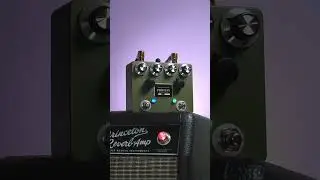 The Perfect Overdrive pedal