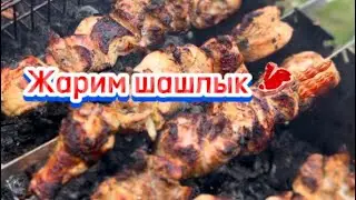 ЖАРИМ ШАШЛЫКИ 👍В ГОРАХ‼️ВСЕХ С ПРАЗДНИКОМ ‼️