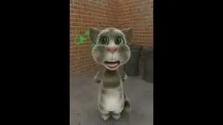 кот том поет песню слиш ти че такая дерзкая