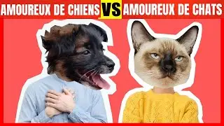 Différences de personnalité entre les amoureux de chiens et de chats | Psychologie