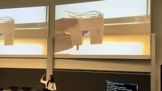 Designing Plant-Driven Actuators for Robots to Grow, Age, and Decay (DIS24 Talk)