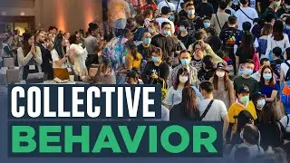 What is Collective Behavior?