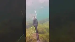 Славная охота