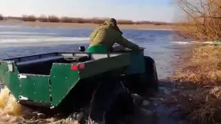 волк плывёт