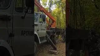 строительство самого атмосферного глэмпинга  парк отель 🌲 instagram.com/parkotelsosnovka #лес #отель