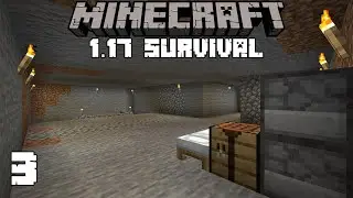 Minecraft: Moving Day! - 1.17 Survival | Ep 3
