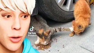 Funniest TikToks of the Week!