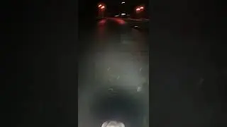 шорох 8081