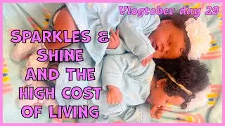 The High cost of Living & our hobby with Reborn Twins Sparkles & Shine #vlogtober 29  #twins