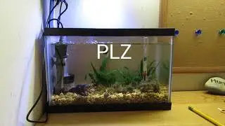 2 DIY Nano Aquarium Lids - 092