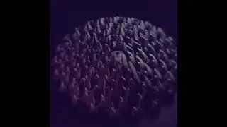 As bactérias e os vírus #biologia