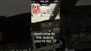 Running out of Scotch on VATSIM is Never Good...