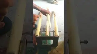 repair a cricket wickets 😲