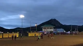 Westernaires - Circus Horse - Estes Park 2019