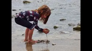 Reunited with Granddaughter at beach in Malibu
