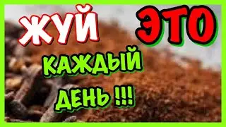 Зачем жевать гвоздику Сила пряности для нашего здоровьяЧУДО СПЕЦИЯ