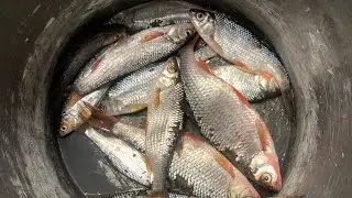 Мощный клев с поплывком на реке