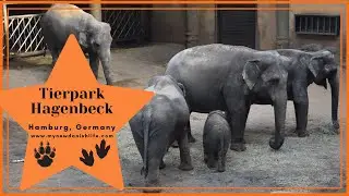 Visit Hamburg's Tierpark Hagenbeck / German Zoo / Things to Do in Hamburg, Germany