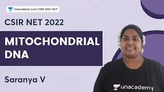 Mitochondrial DNA | CSIR NET | Saranya V | Unacademy CSIR UGC NET