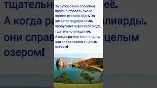 Байкал / Озеро Байкал / Эпишура