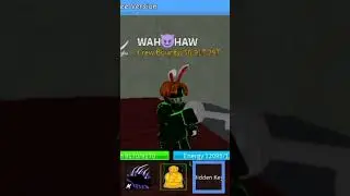 my blox fruit history