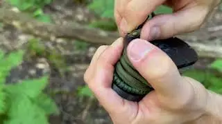 Using the carry tools and features of the Pan Sling.