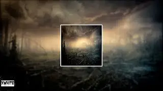 [Free Freestyle] 