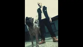 Rockdog Eminem "Without Me" Bible Study