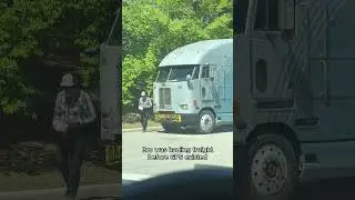 The trailer has been making executive decisions again🤣🤣
