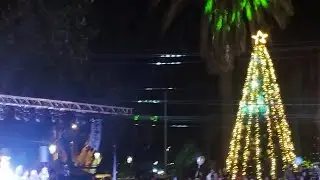 árbol de navidad 🎄 @Len_kagaminexdygema @pichusonicpropro999 @Berlin1864OFFICIAL :D