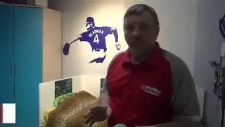 Бейсбол дома